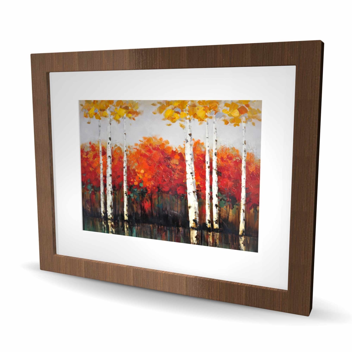 C1FM16203BDYP9 16 x 20 in. Birches by Fall - Framed Matted Print Wall Art - Home Decor Art