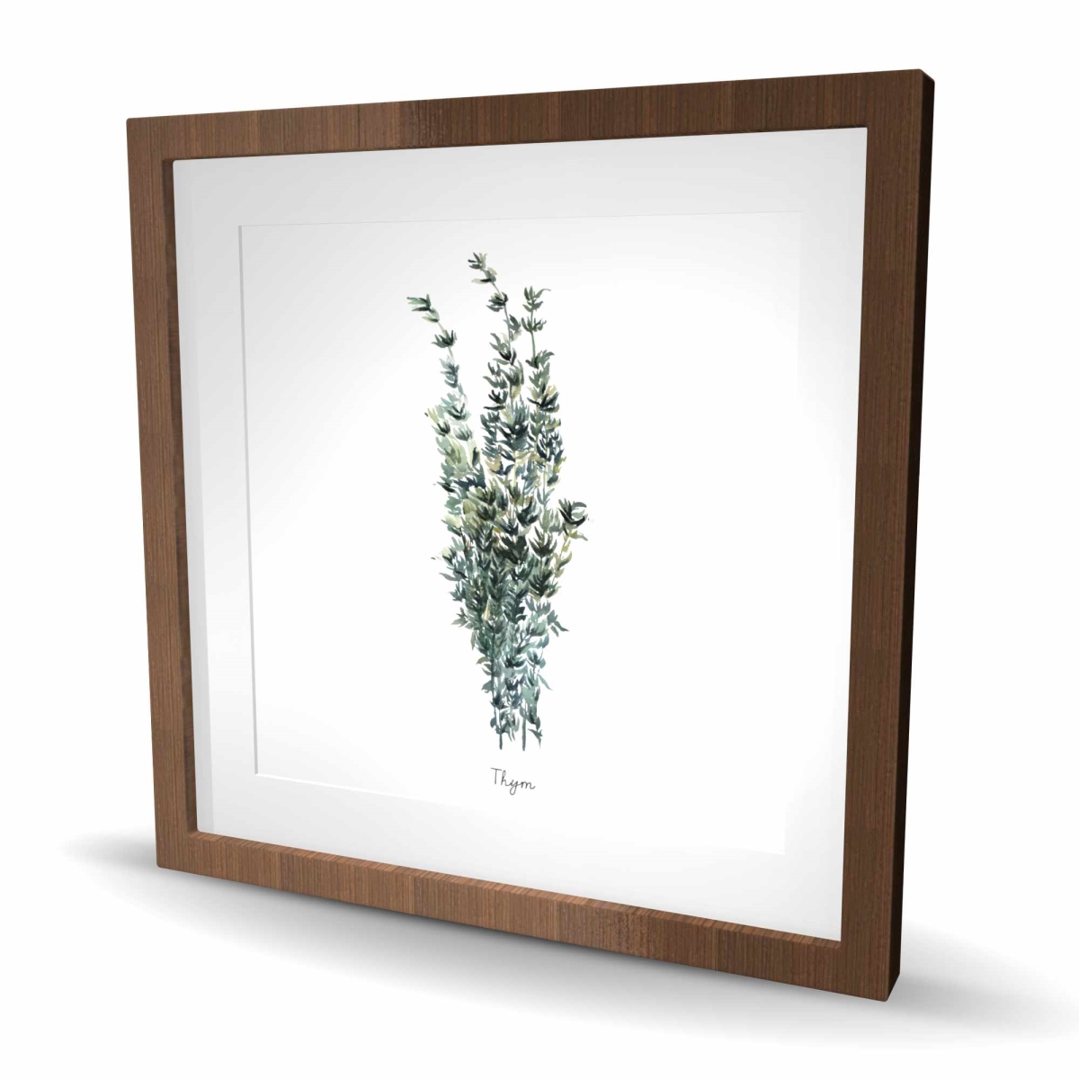C1FM2424H8OX2V 24 x 24 in. Thyme Leaves Bundle - Framed Matted Print Wall Art for Home Decor