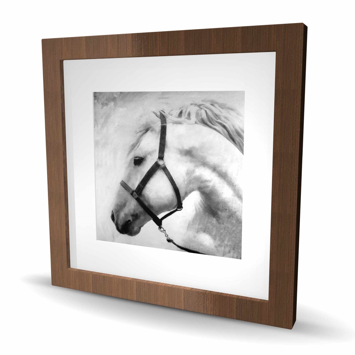 C1FM1616YN1VL2 16 x 16 in. Darius the Horse - Framed Matted Print Wall Art for Animal Lovers