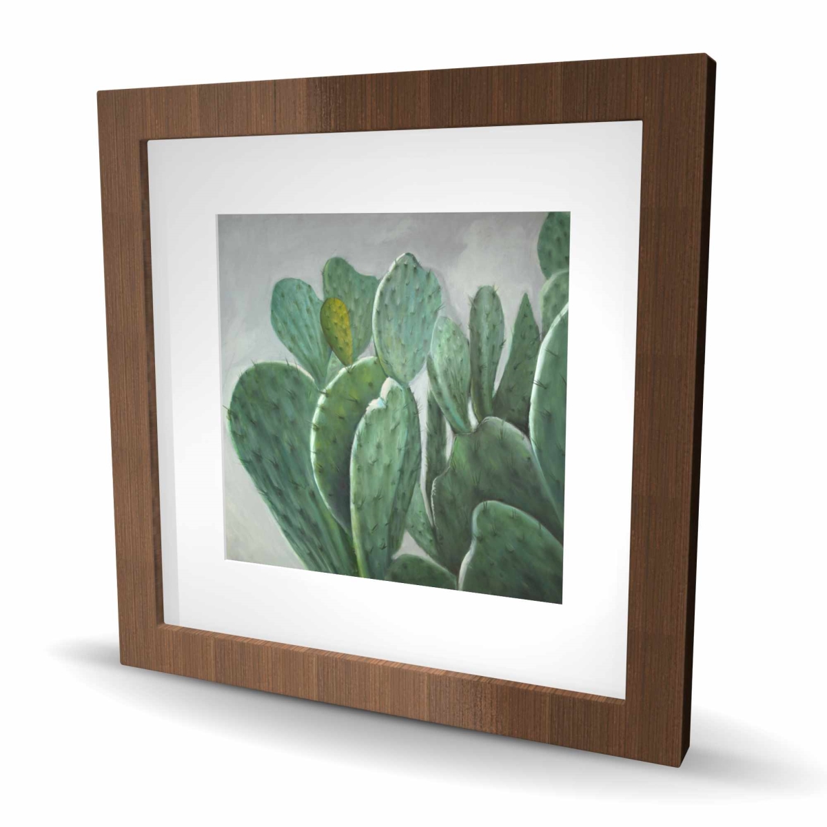 C1FM1616GCL9IW 16 x 16 in. Paddle Cactus - Bedroom Hyperrealist Framed Print Wall Art for Decor