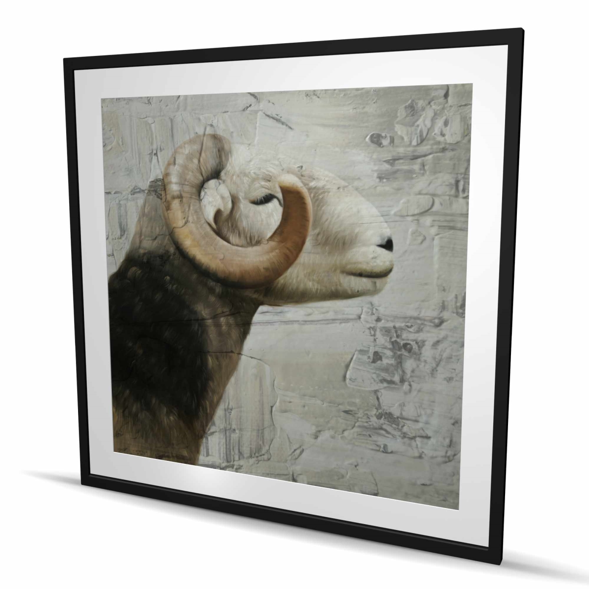 C1FM4848BACT4N 48 x 48 in. Aries - White Rustic Framed Matted Print Wall Art - Home Decor Art