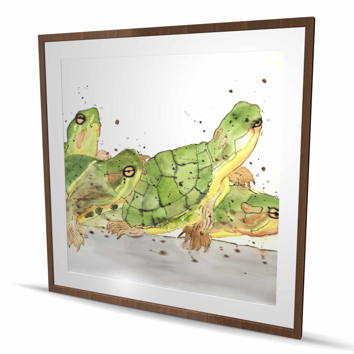 C1FM4848CURPGI 48 x 48 in. Small Aquatic Turtles - Brown Framed Matted Print Wall Art for Decor
