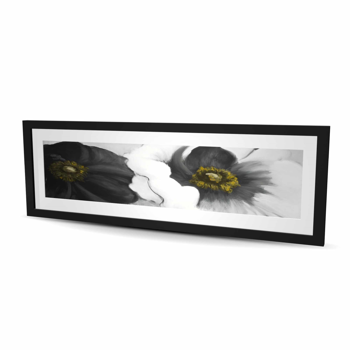 C1FM1648G9KTW9 16 x 48 in. Assorted White Flowers - Framed Matted Print Wall Art for Home Decor