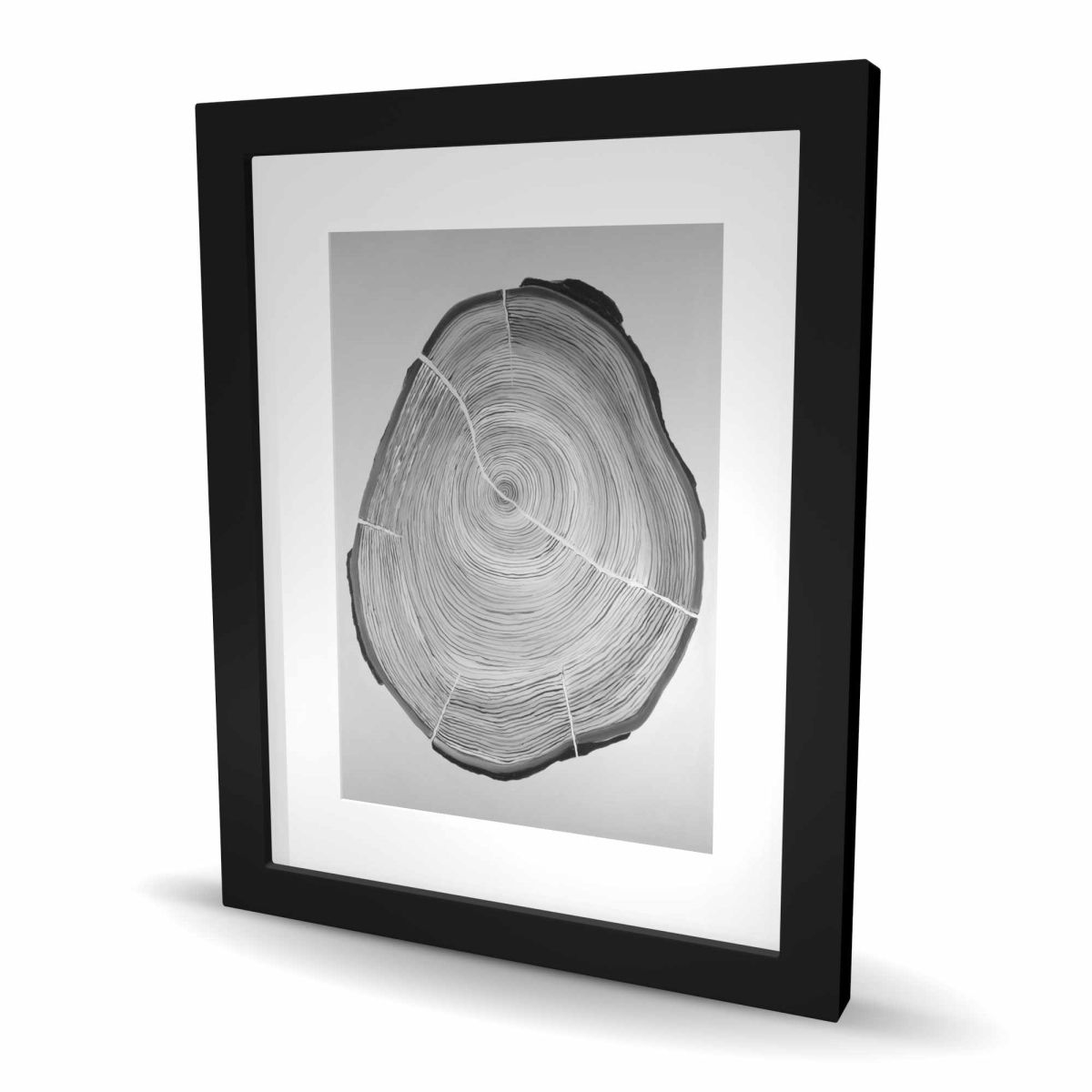 C1FM1620IQTJEI 16 x 20 in. Grayscale Wood Log Wall Art - Still Life Black Framed Art Print