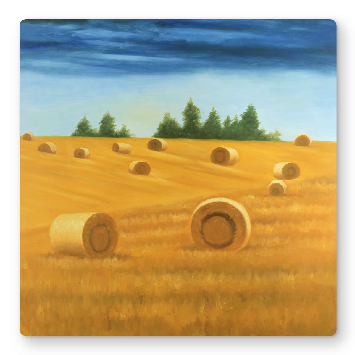 C1MP1616KWT0VP 16 x 16 in. Landscape of the Countryside - Metal Print Wall Art for Living Room