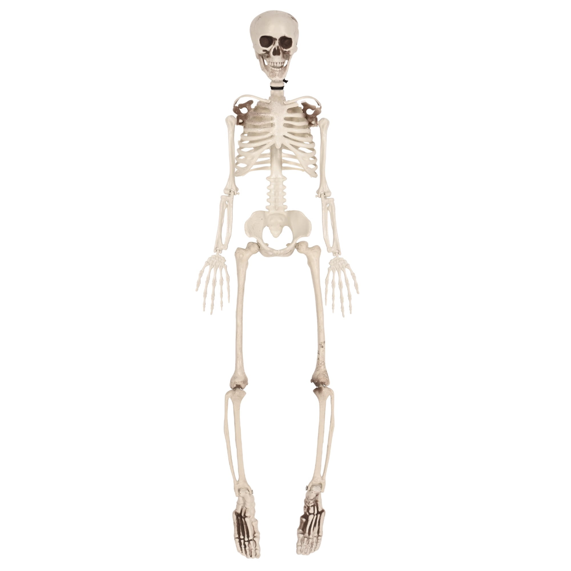Picture of Beistle 495 3 ft. Plastic Skeleton