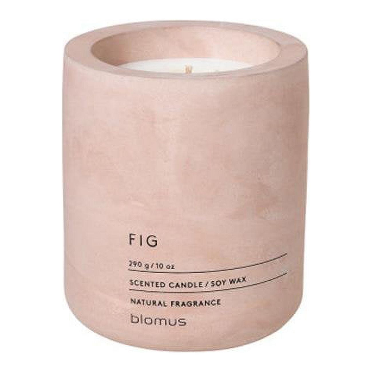 65655 Fragra LargeRose Dust Candle - Fig