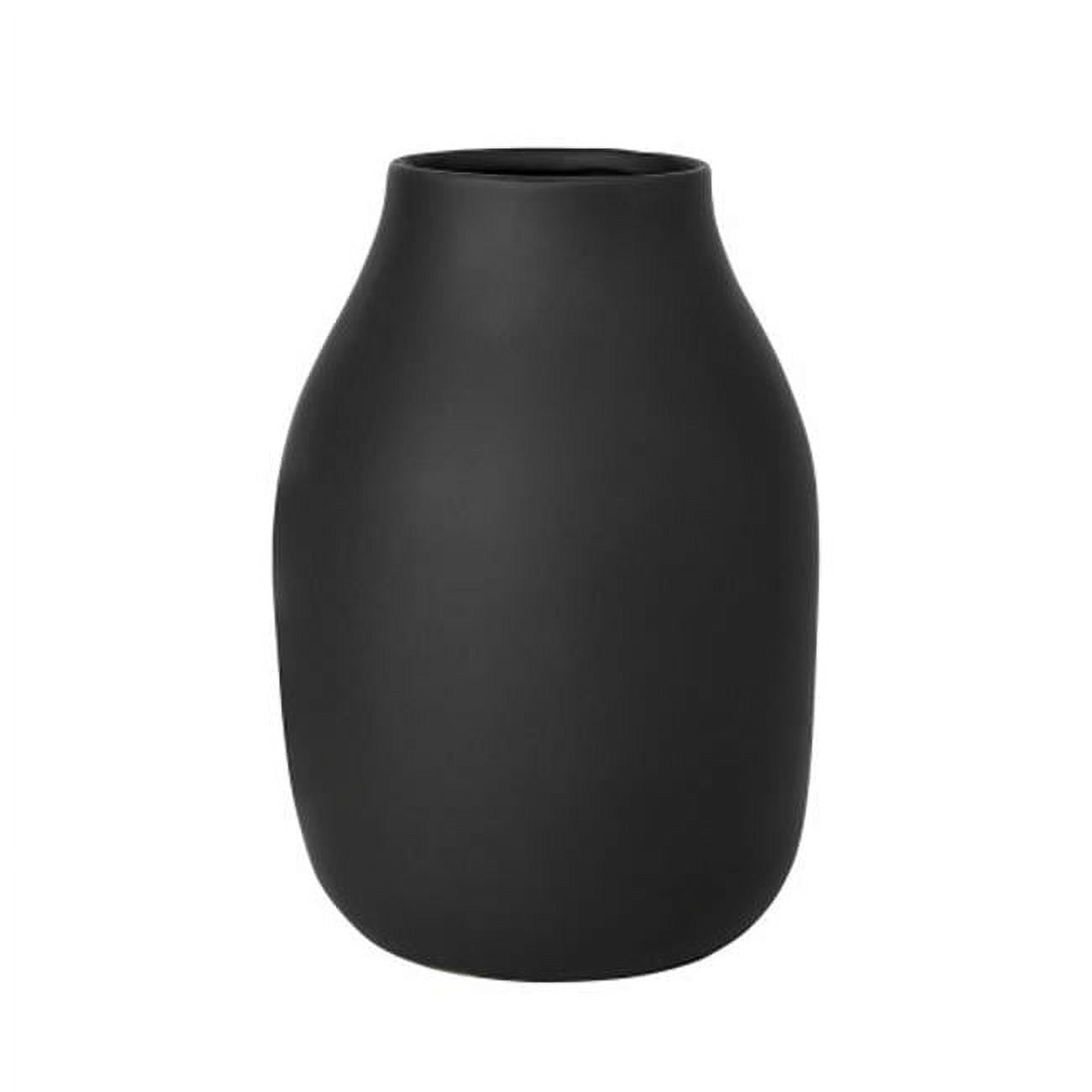 Picture of Blomus 65701 20 x 6 in. Colora Porcelain Vase, Peat