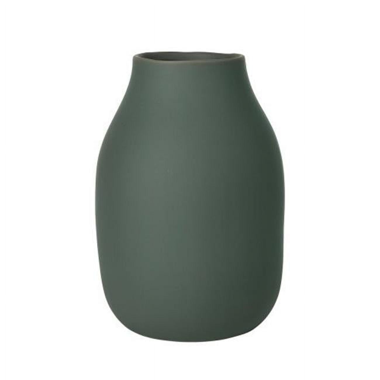 Picture of Blomus 65704 20 x 6 in. Colora Porcelain Vase, Agave Green