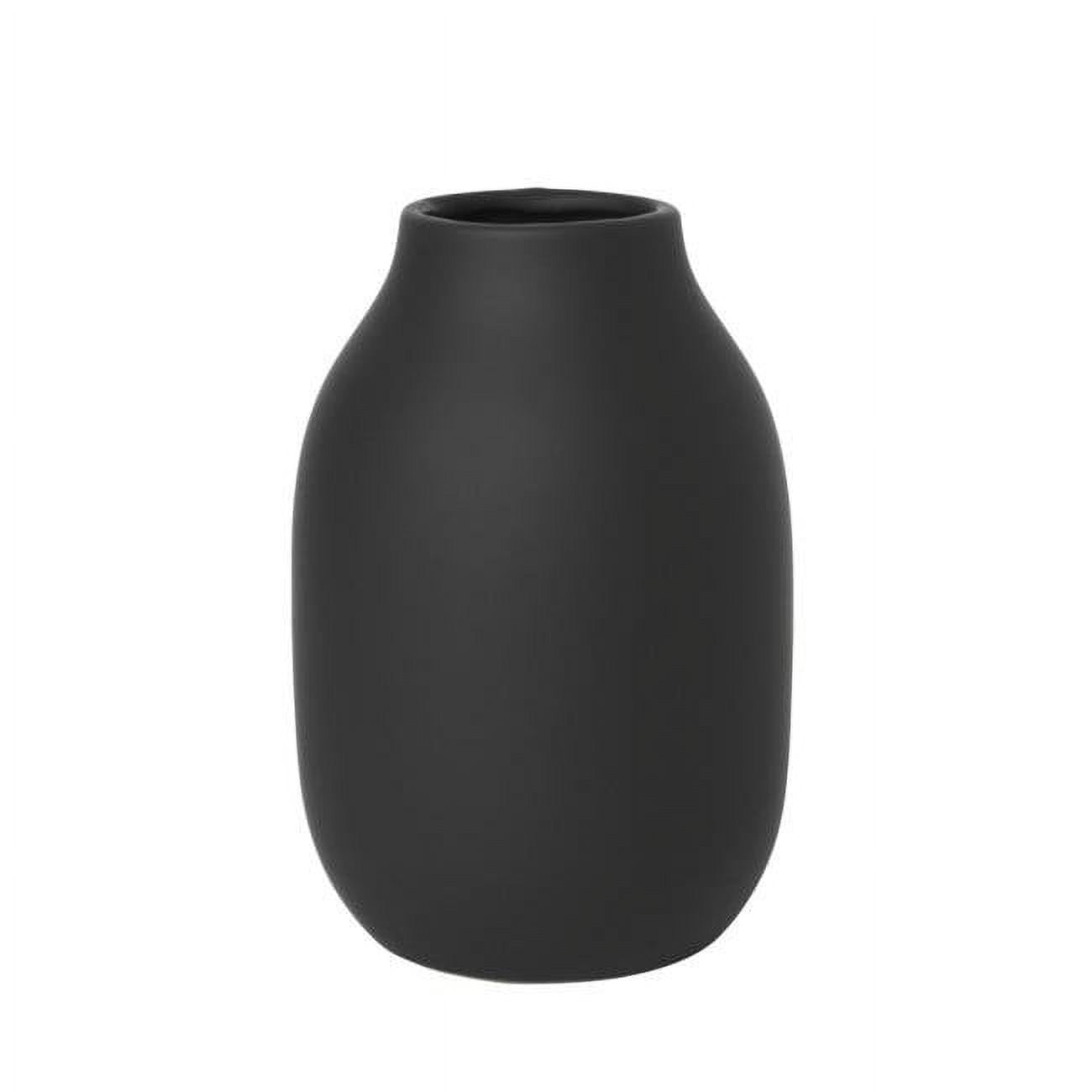 Picture of Blomus 65902 6 x 4 in. Colora Porcelain Vase&#44; Peat