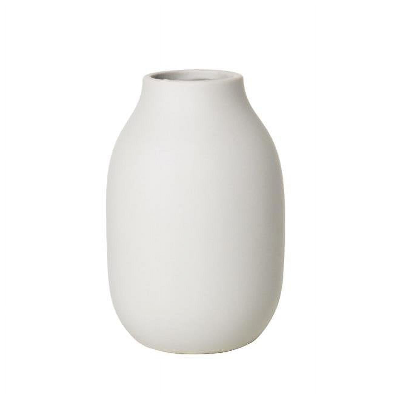Picture of Blomus 65906 6 x 4 in. Colora Porcelain Vase&#44; Moonbeam