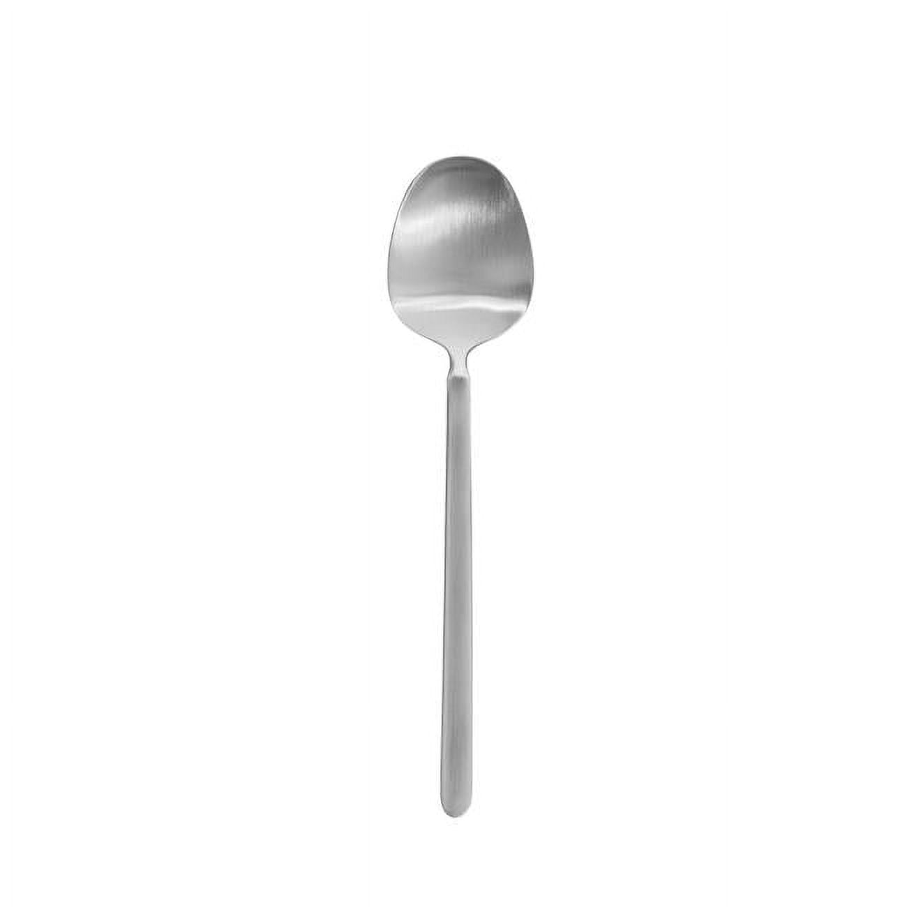 Picture of Blomus 63949 9.8 x 2.2 in. Stella Stainless Steel Seving Spoon