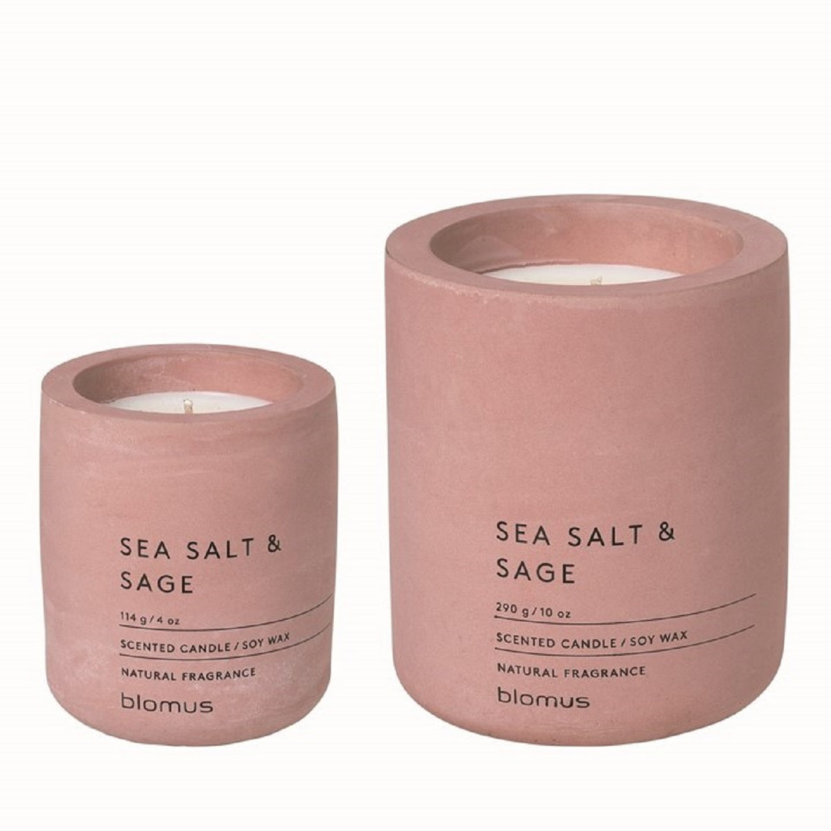 33104 FRAGA Candle Set - Container with Sea Salt & Sage Scent - Whitered Rose