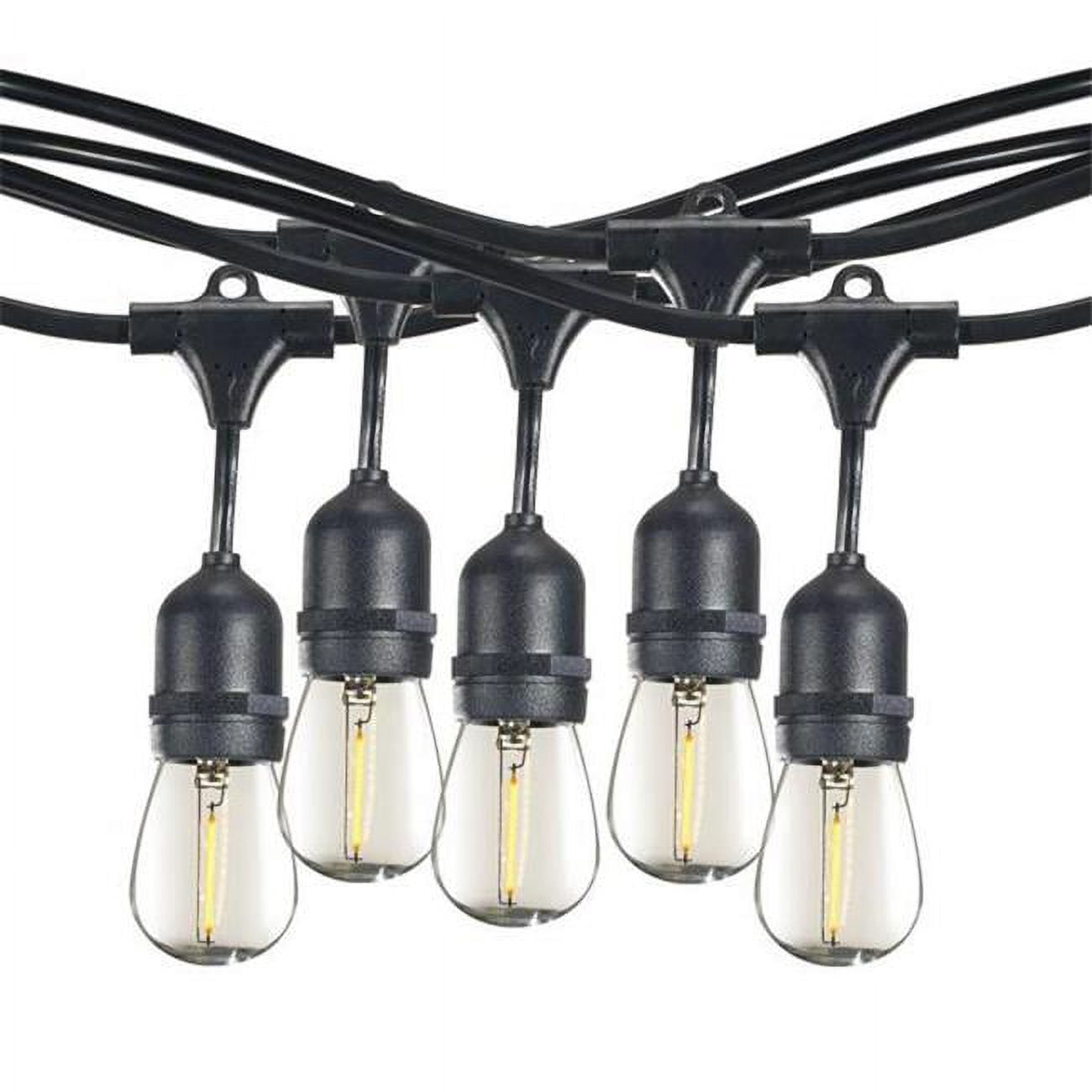 Picture of 30&apos; STRING LIGHT 12 SOCKETS 30&quot; SPACING E26 BLACK KIT - W/1W PLASTIC LED S14 CLEAR LAMPS
