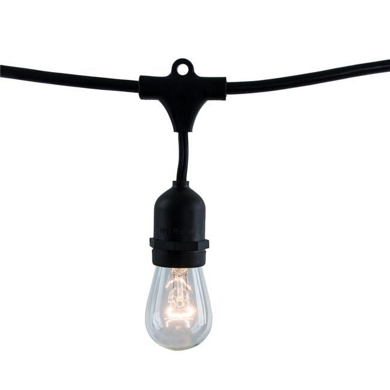 Picture of Bulbrite 812482 48 ft. String Light Kit with Vintage Style S14 Incandescent Light Bulbs, Clear