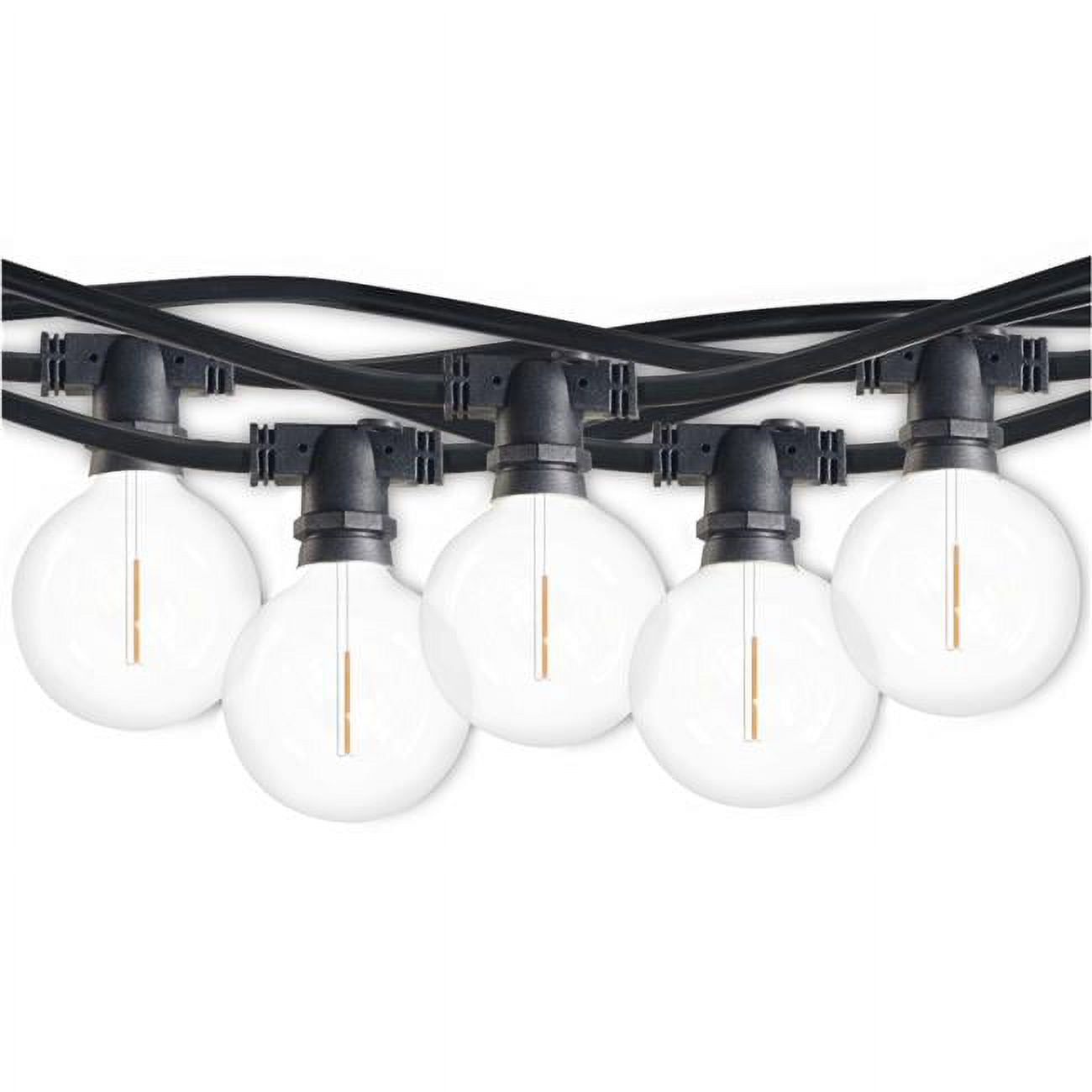 Picture of 14&apos; STRING LIGHT 10 SOCKETS 16&quot; SPACING E12 BLACK KIT - W/1W PLASTIC LED G16 CLEAR LAMPS