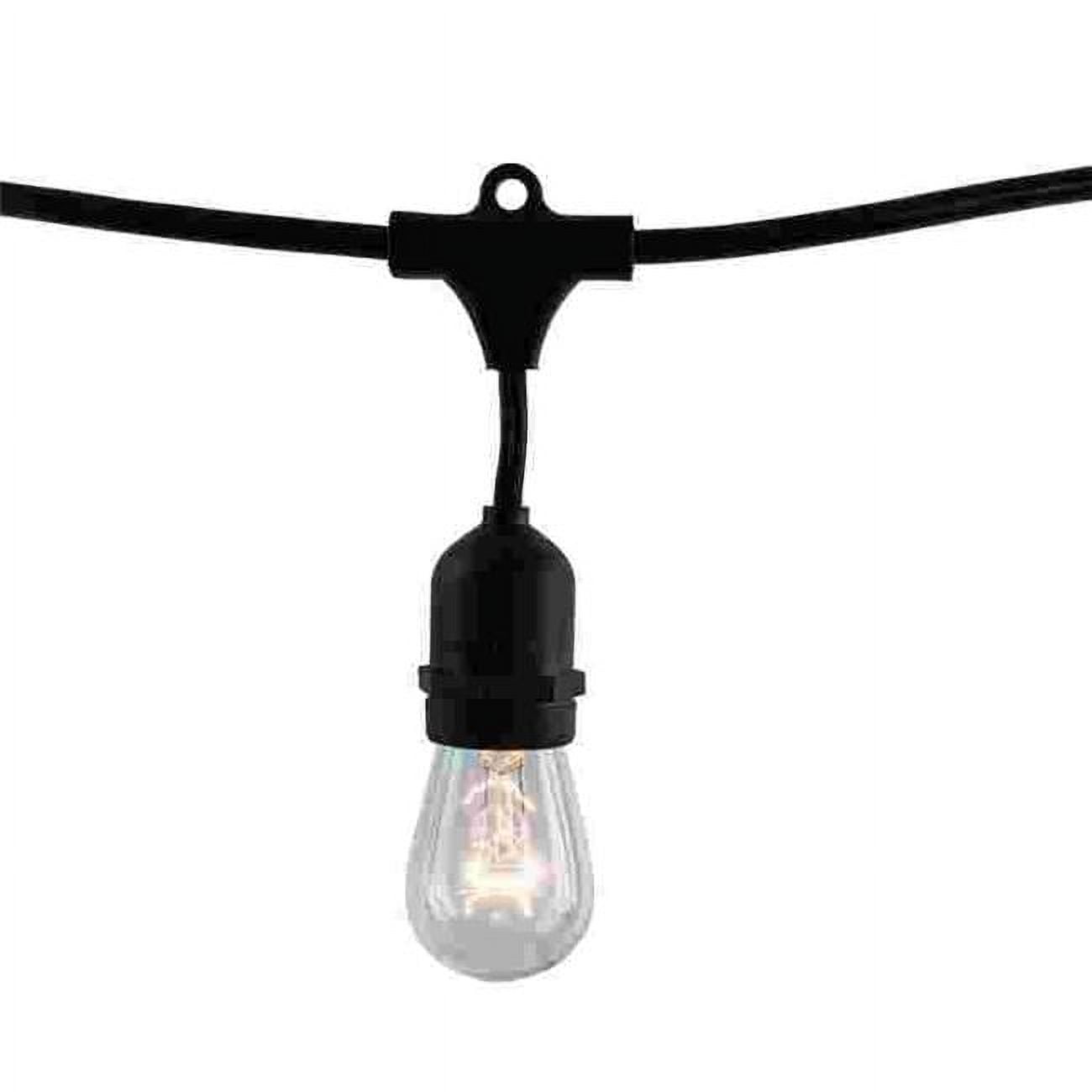 862822 48 ft. String Light Kit with Clear Vintage Style S14 Incandescent Light Bulbs, Pack of 2