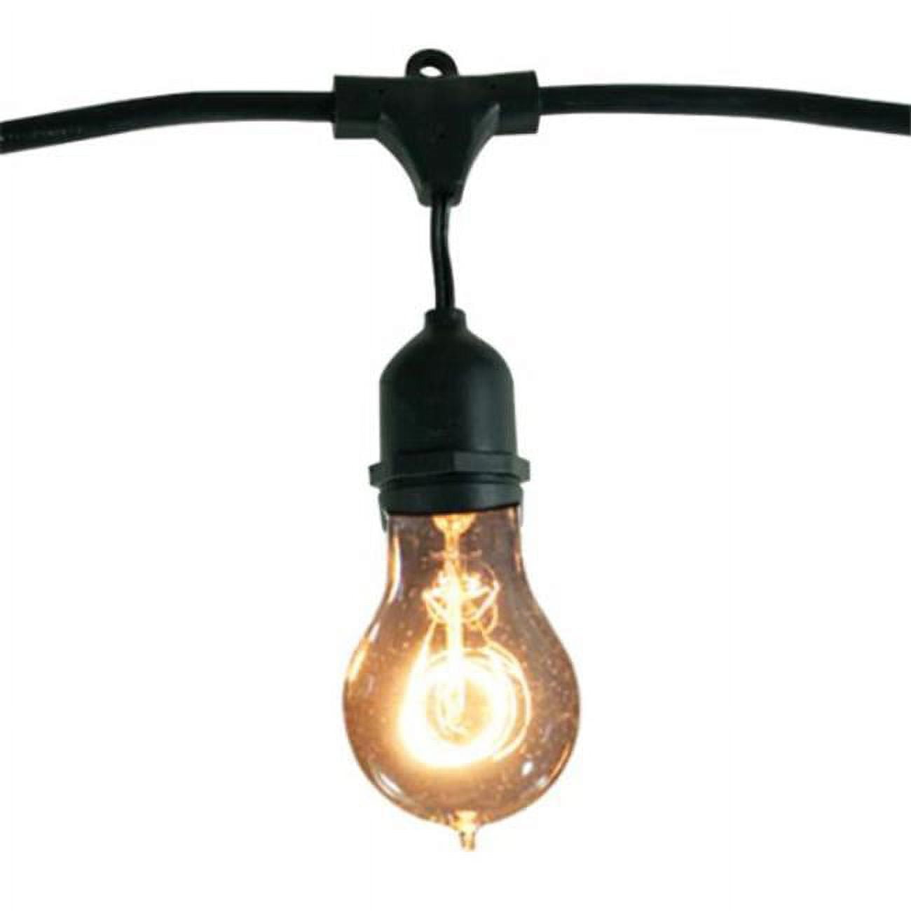 862823 48 ft. String Light Kit with Nostalgic Loop Filament A19 Light Bulbs, Pack of 2