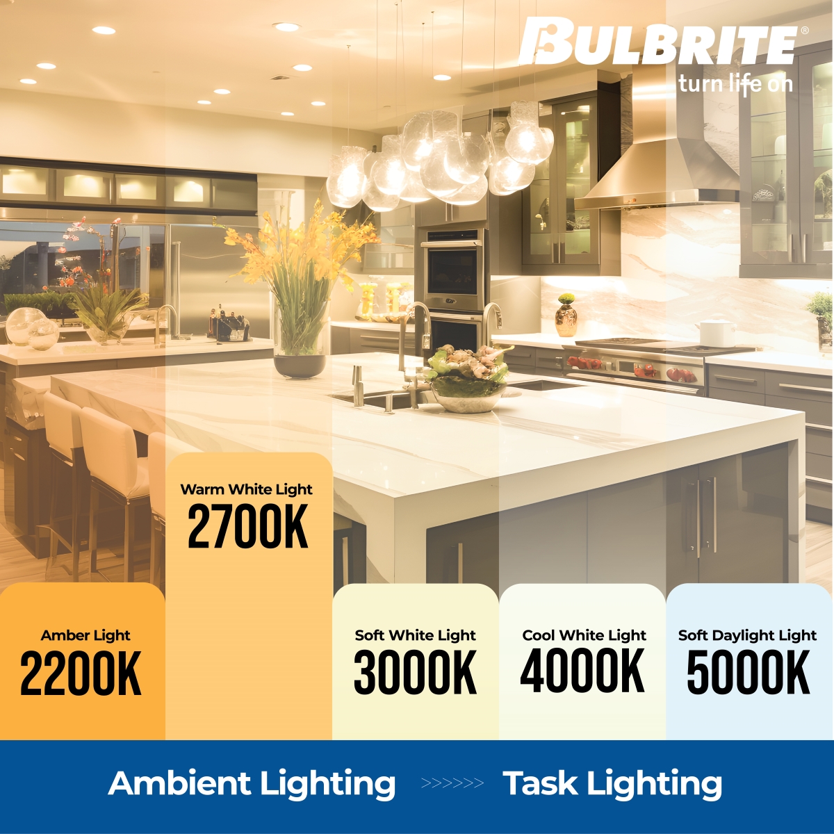 LED Filament, 6 Watt Dimmable G40 Light Bulbs, Half Mirror Finish, E26 Base, 2700K, 500 Lumens, 4PK