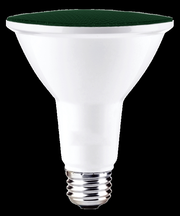 90-W Equivalent, Green Color PAR38 Weatherproof Outdoor E26 Medium Base Flood LED Light Bulb COLOR