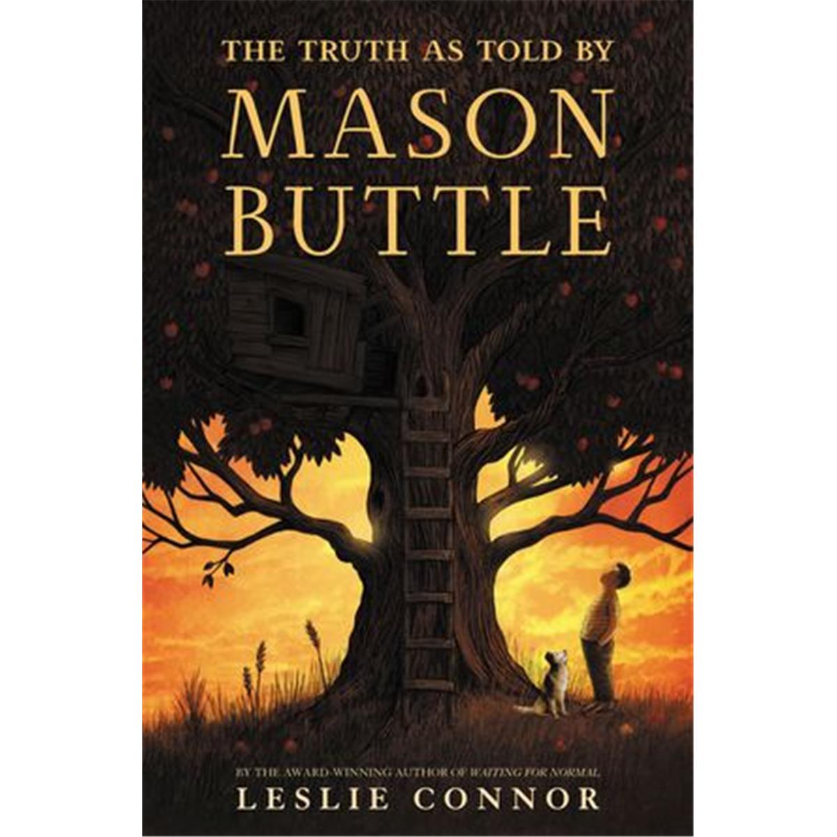 Picture of Blackstone Audio 9781538590164 The Truth As Told By Mason Buttle Book