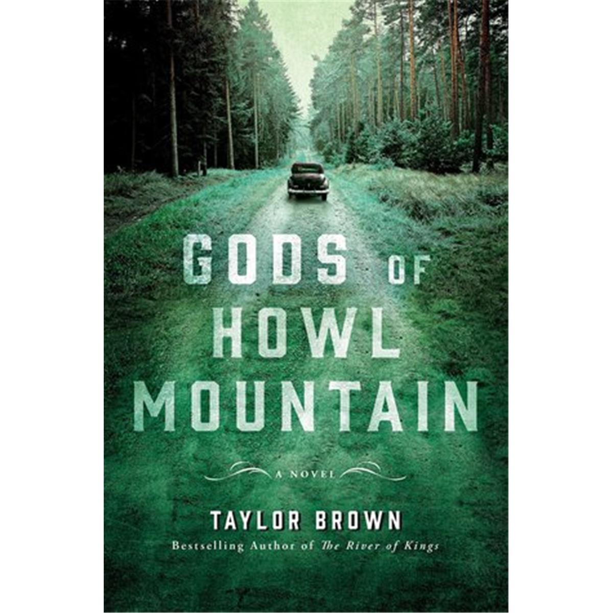 Picture of Audio Book 9781982525538 Gods Of Howl Mountain Book
