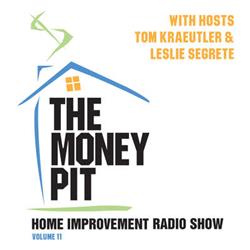 c4ry The Money Pit Book, Vol. 11
