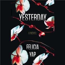 c7ga Yesterday A Novel