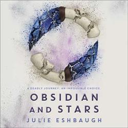 c7w9 Obsidian & Stars Book