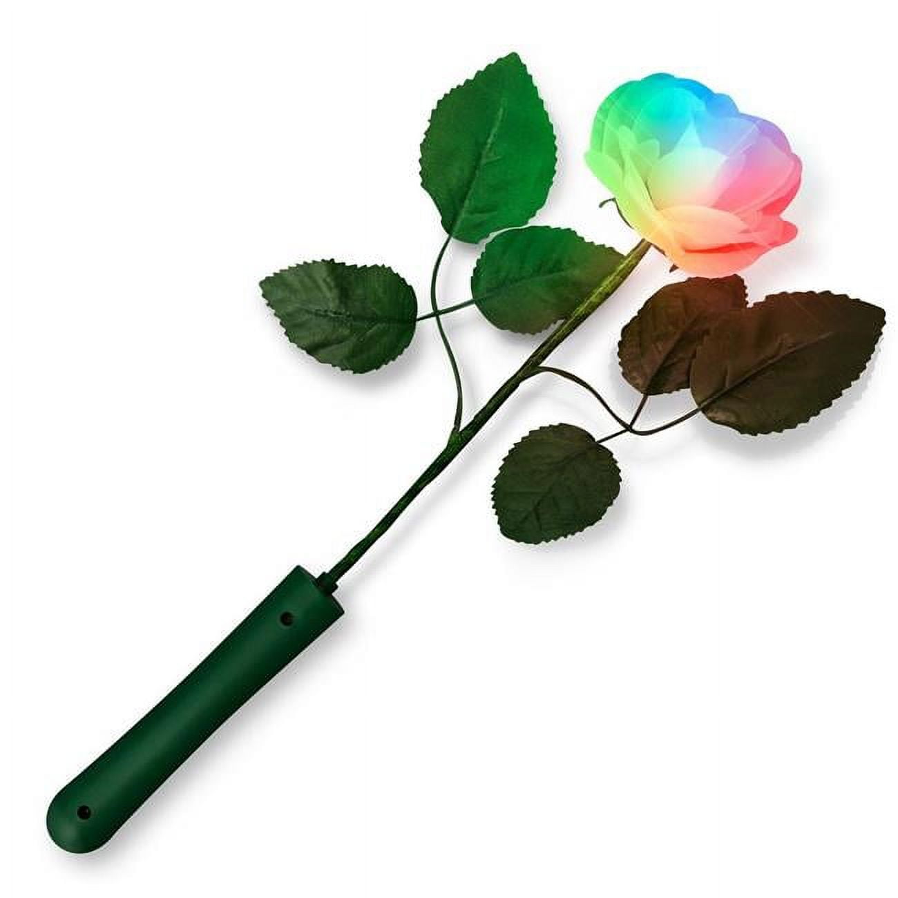 Multi Color Light Up Petals, Rose & White