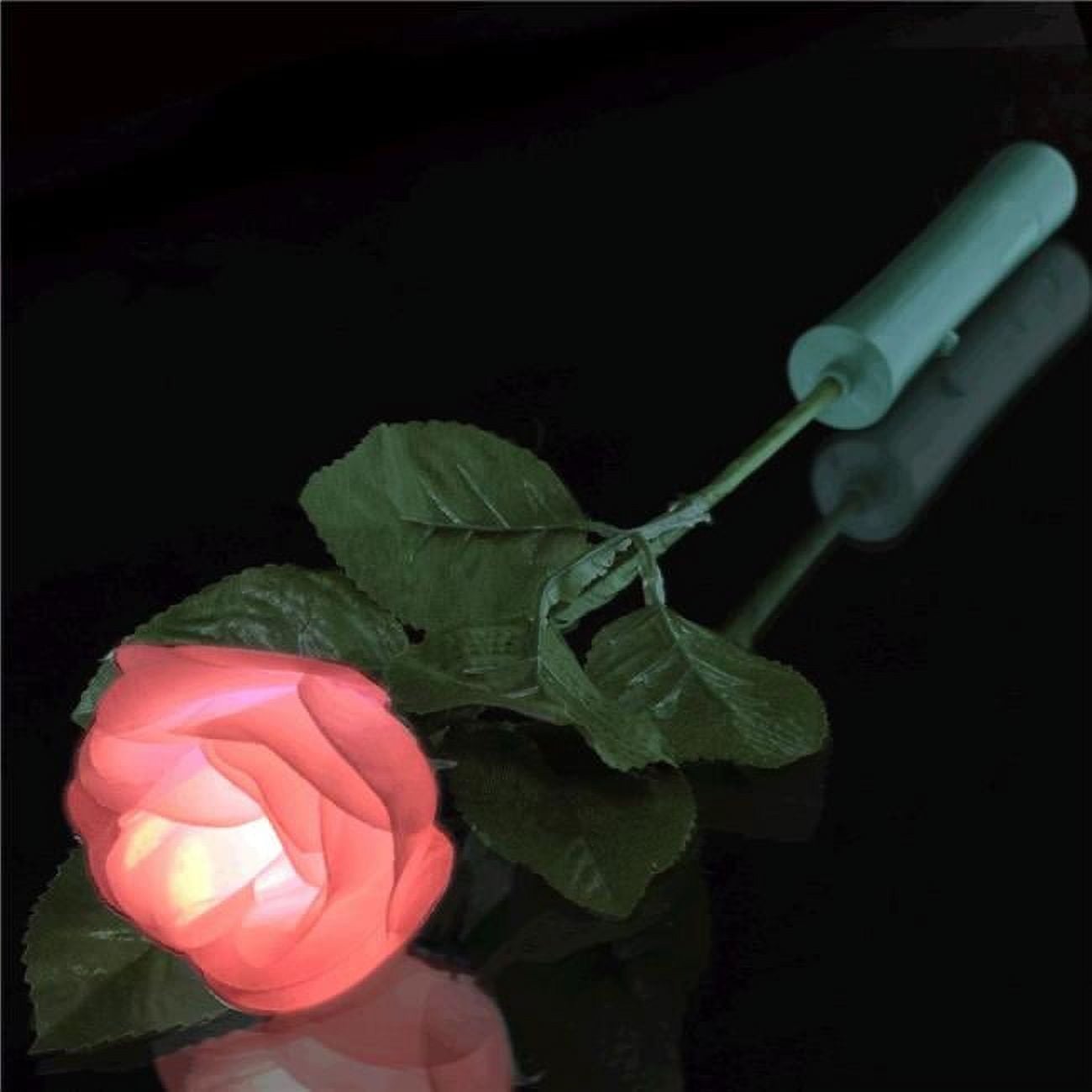 White Flower with Color Changing Petals, Multi Color