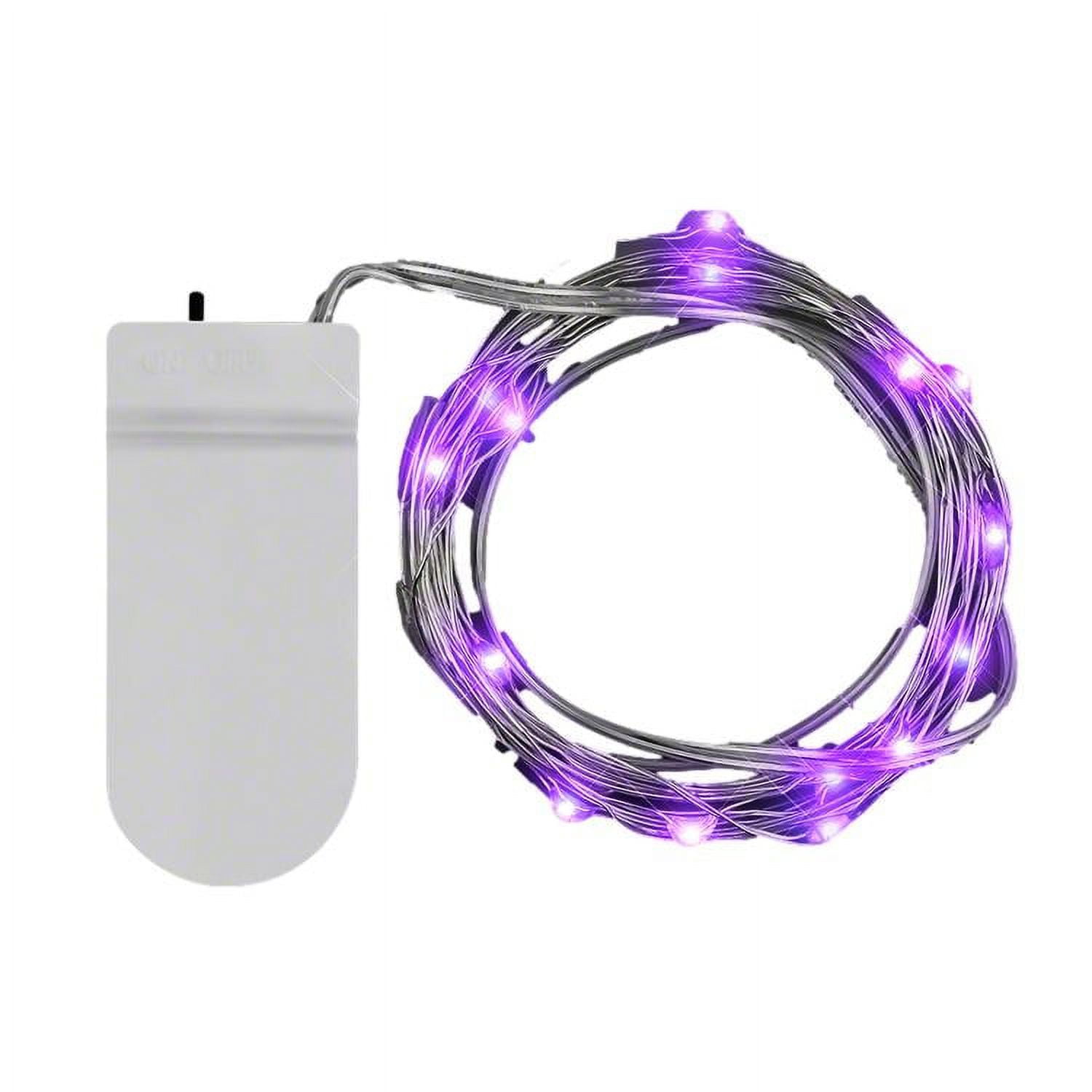 Picture of Blinkee 80WSL-PRL 80 in. LED Wire String Lights&#44; Purple