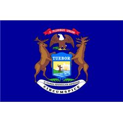 Michigan State Flag 36 x 60 (33541)