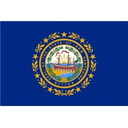 New Hampshire State Flag 36 x 60 (33548)