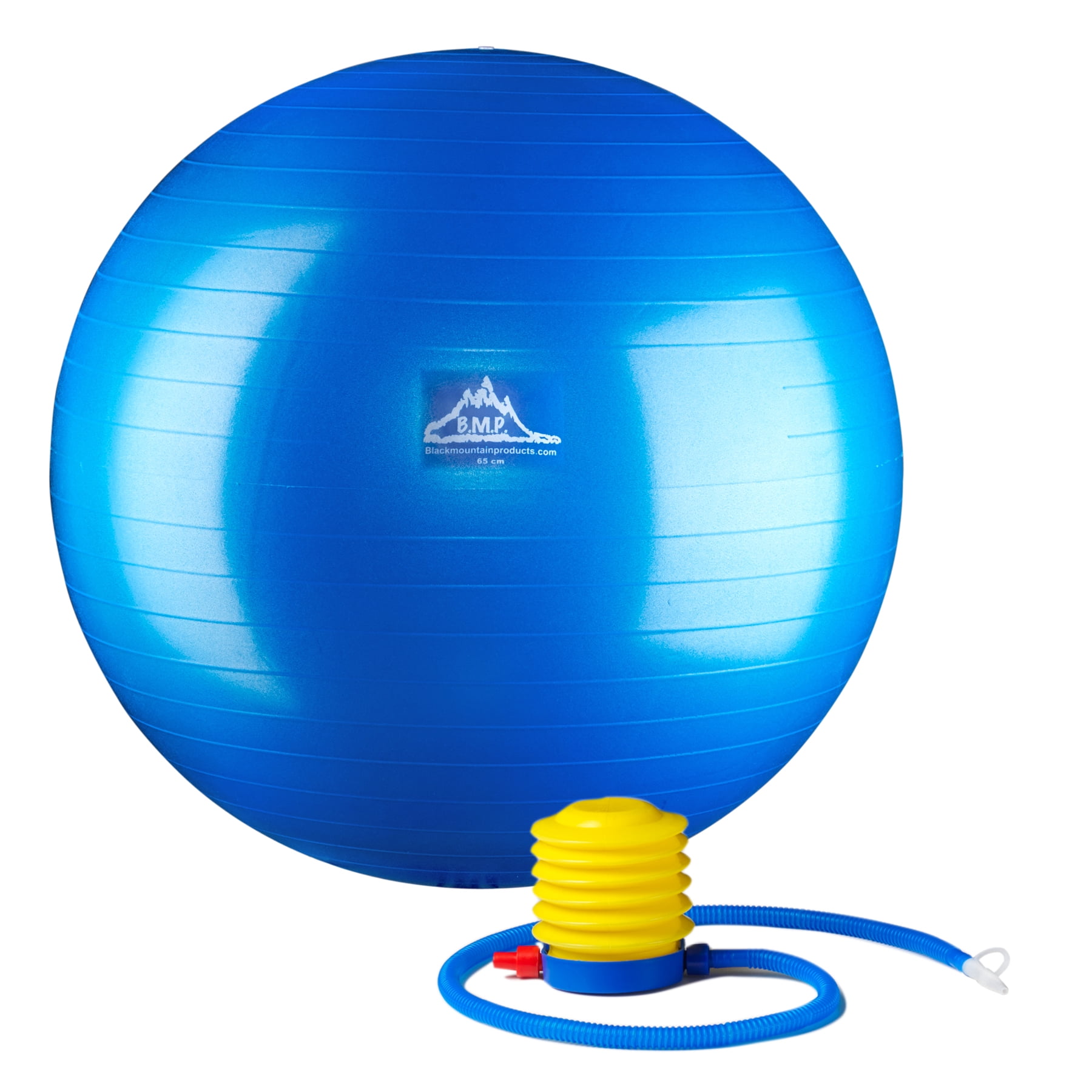 PSBLUE 85CM 85 cm Professional Grade Stability Ball - Pro Series Anti-Burst Static Weight Capacity, Blue