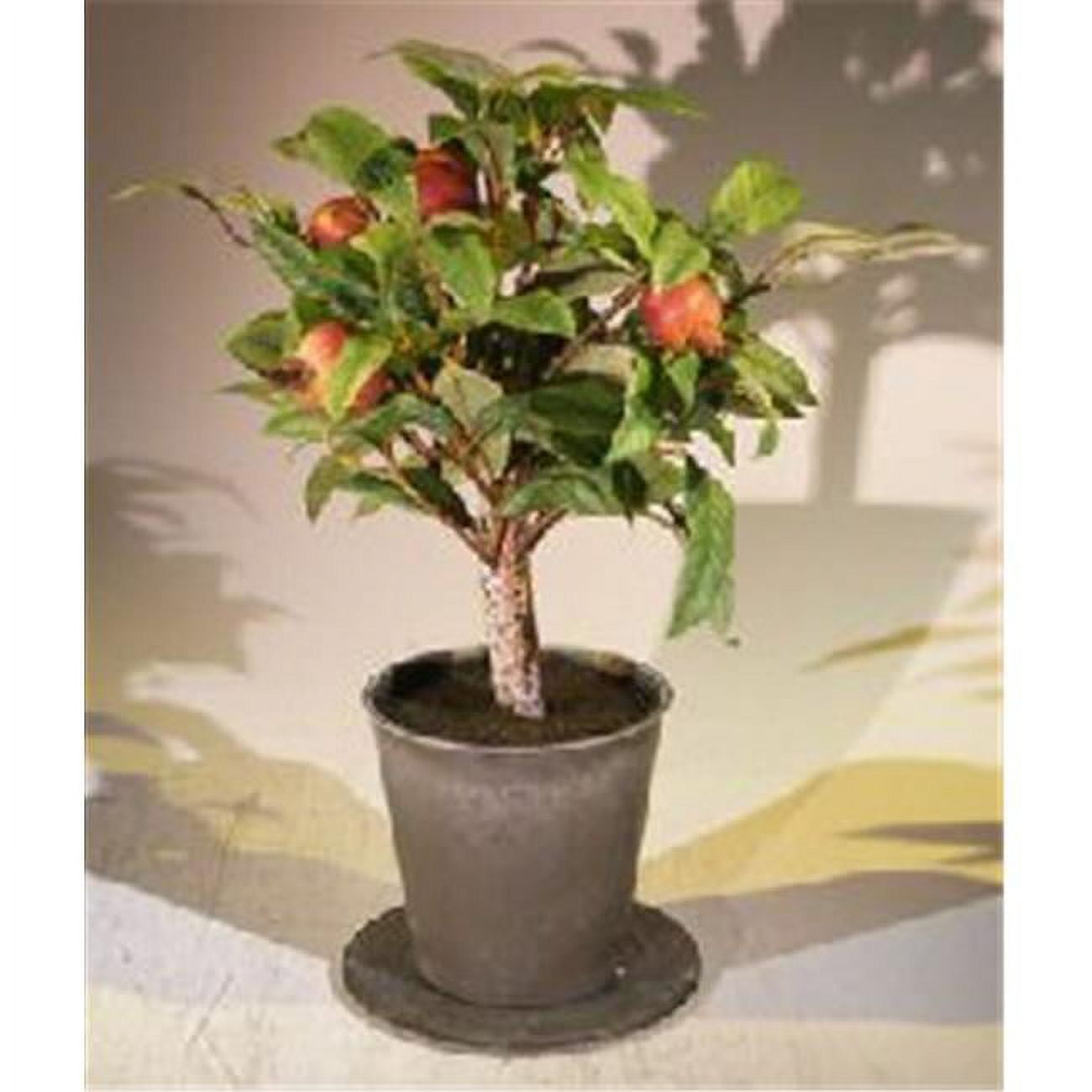 Picture of Bonsai Boy e3196 Artificial Pomegranate Bonsai Tree