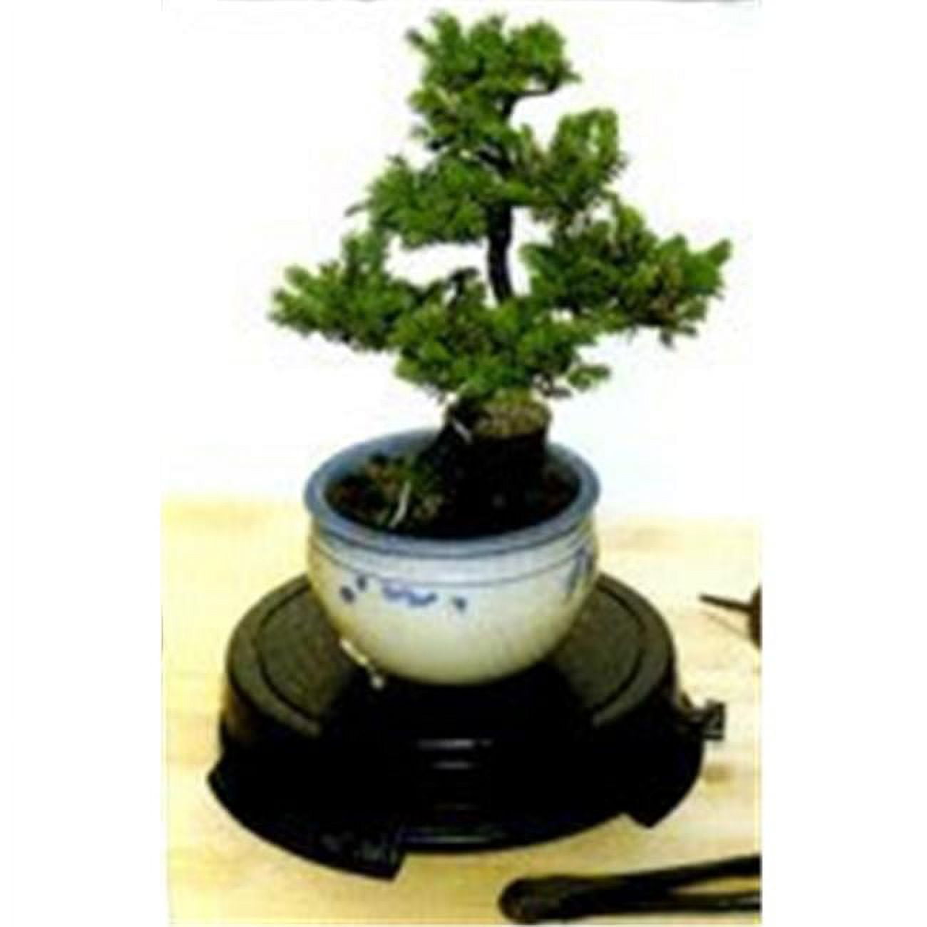 Picture of Bonsai Boy b1100 6 in. Tree Turntable