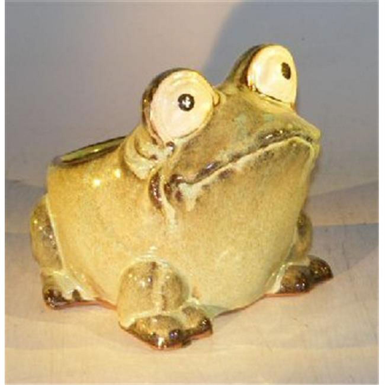 7 x 9 x 7.5 in. Frog Planter, Light Green