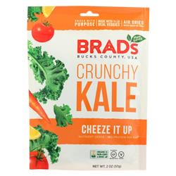Picture of Brads Plant Based 813104021877 2 oz Crunchy Kale, Cheeze It Up - Case of 12