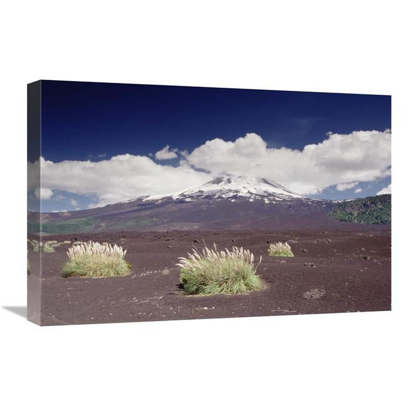 GCS-453013-1624-142 16 x 24 in. Pampas Grass Islands in Old Lava Flowl Llaima Volcano, Conguillio NP, Chile Art Print - Gerry Ellis -  Global Gallery