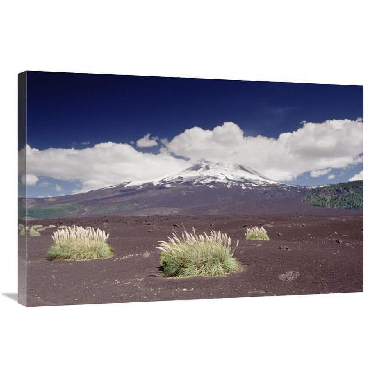 24 x 36 in. Pampas Grass Islands in Old Lava Flowl Llaima Volcano, Conguillio NP, Chile Art Print - Gerry Ellis -  JensenDistributionServices, MI1264959