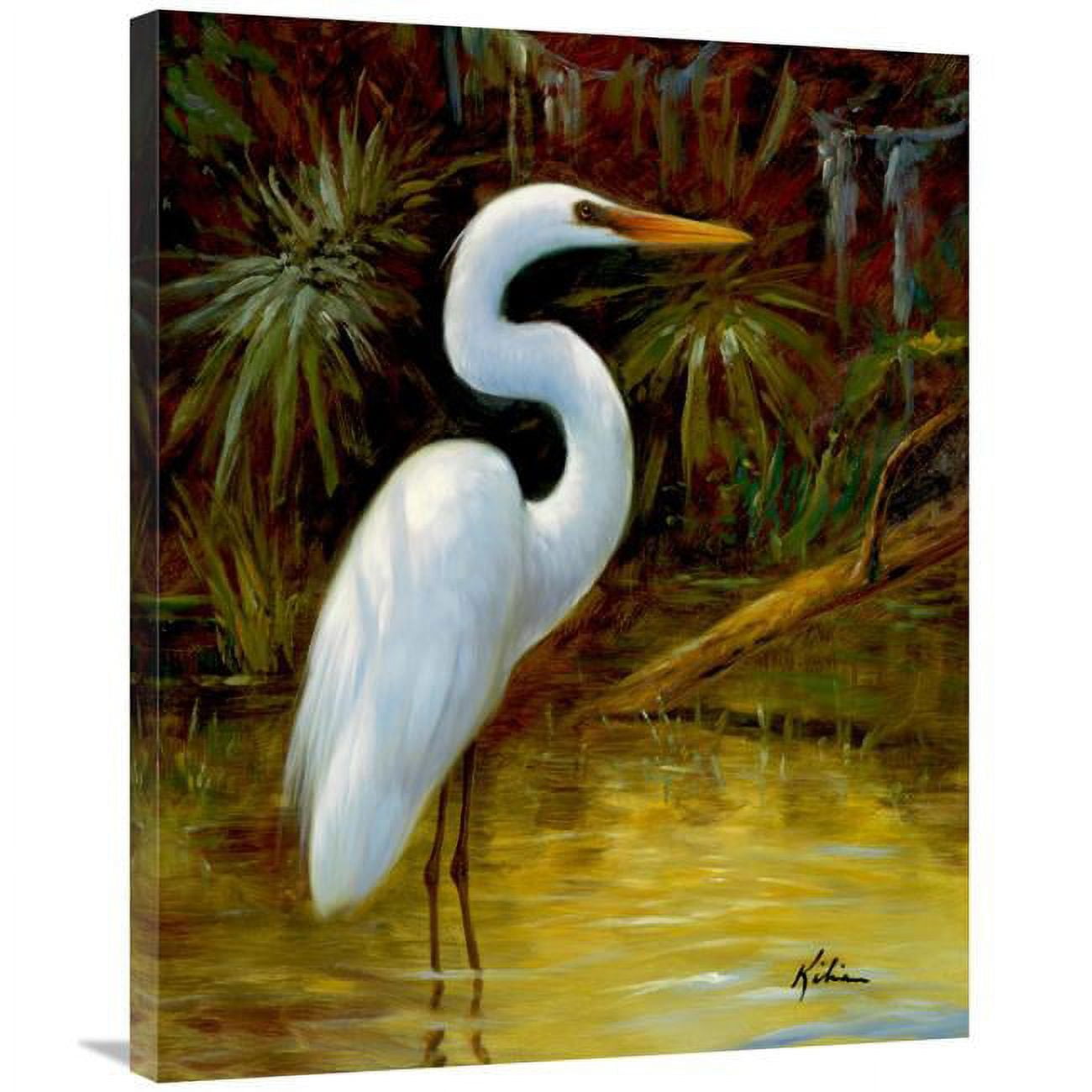 Global Gallery Tropical Egret I-Canvas Art-28"x35"