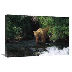 16 x 24 in. Grizzly Bear Fishing, Brooks River Falls, Katmai NP, Alaska Art Print - Konrad Wothe -  JensenDistributionServices, MI1265770