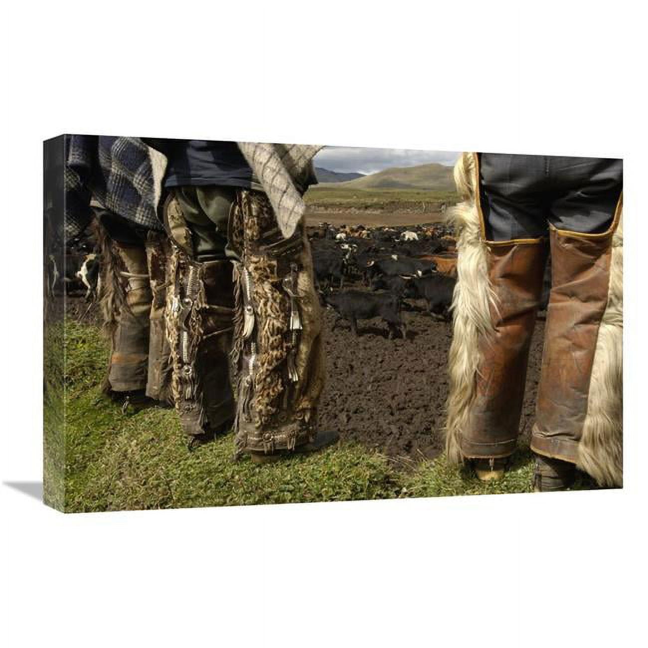 Global Gallery Ocelot Fur and Goat Hair on Chaps Worn by Chagras, Andes Mountains, Ecuador-Canvas Art-24"x16"
