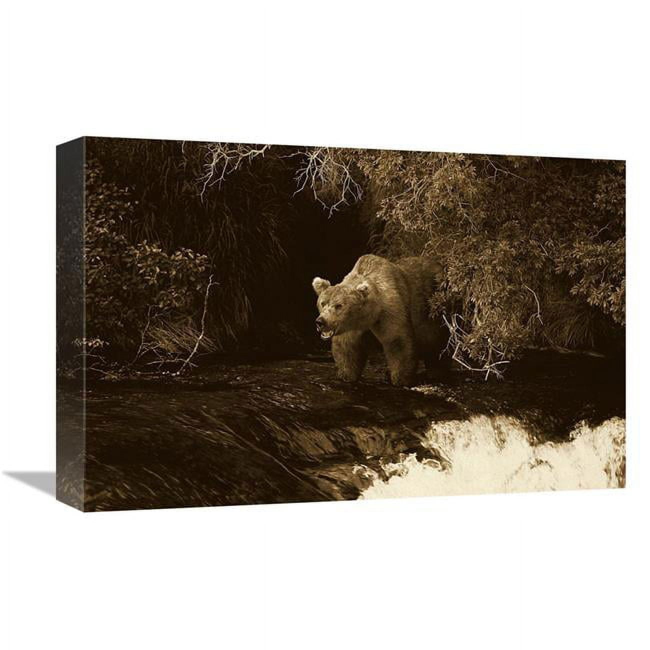 12 x 18 in. Grizzly Bear Fishing, Brooks River Falls, Katmai NP, Alaska - Sepia Art Print - Konrad Wothe -  JensenDistributionServices, MI1268217