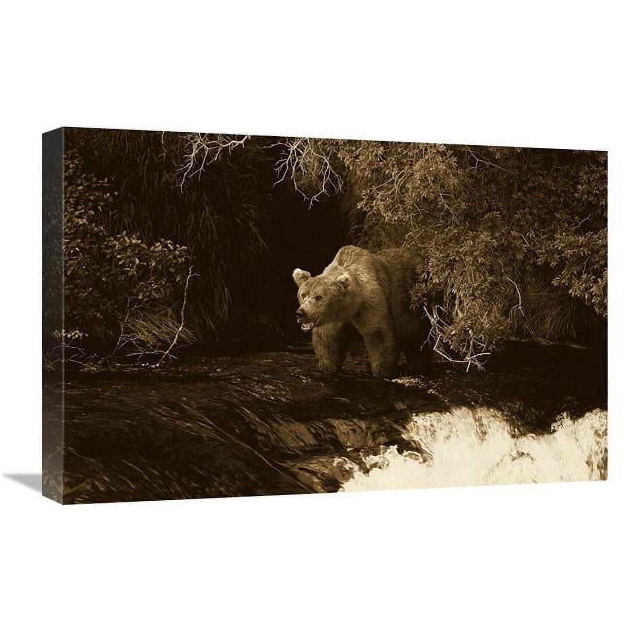 16 x 24 in. Grizzly Bear Fishing, Brooks River Falls, Katmai NP, Alaska - Sepia Art Print - Konrad Wothe -  JensenDistributionServices, MI1268218