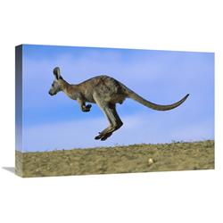 Global Gallery GCS-395902-1624-142