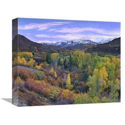 Global Gallery Quaking Aspen Forest in Autumn, Snowmass Mountain Near Quaking Aspen, Colorado-Canvas Art-16"x13.28"