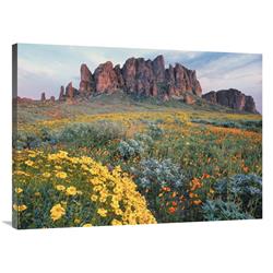 Global Gallery California Brittlebush Lost Dutchman State Park, Superstition Mountains, Arizona-Canvas Art-40"x30"
