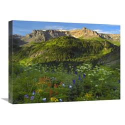Global Gallery Wildflower Meadow Looking Towards Mount Sneffels Wilderness, Yankee Boy Basin, Colorado-Canvas Art-24"x18"